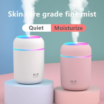 H2O Humidifier